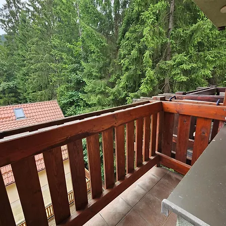 Apartman Fatrapark 1 *
