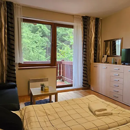 Fatrapark 1 Apartman Rózsahegy