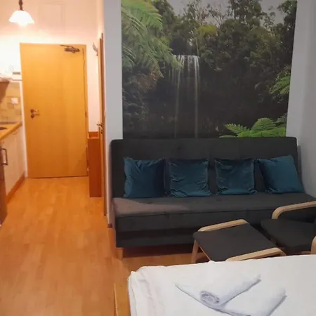 Fatrapark 1 Apartman Rózsahegy